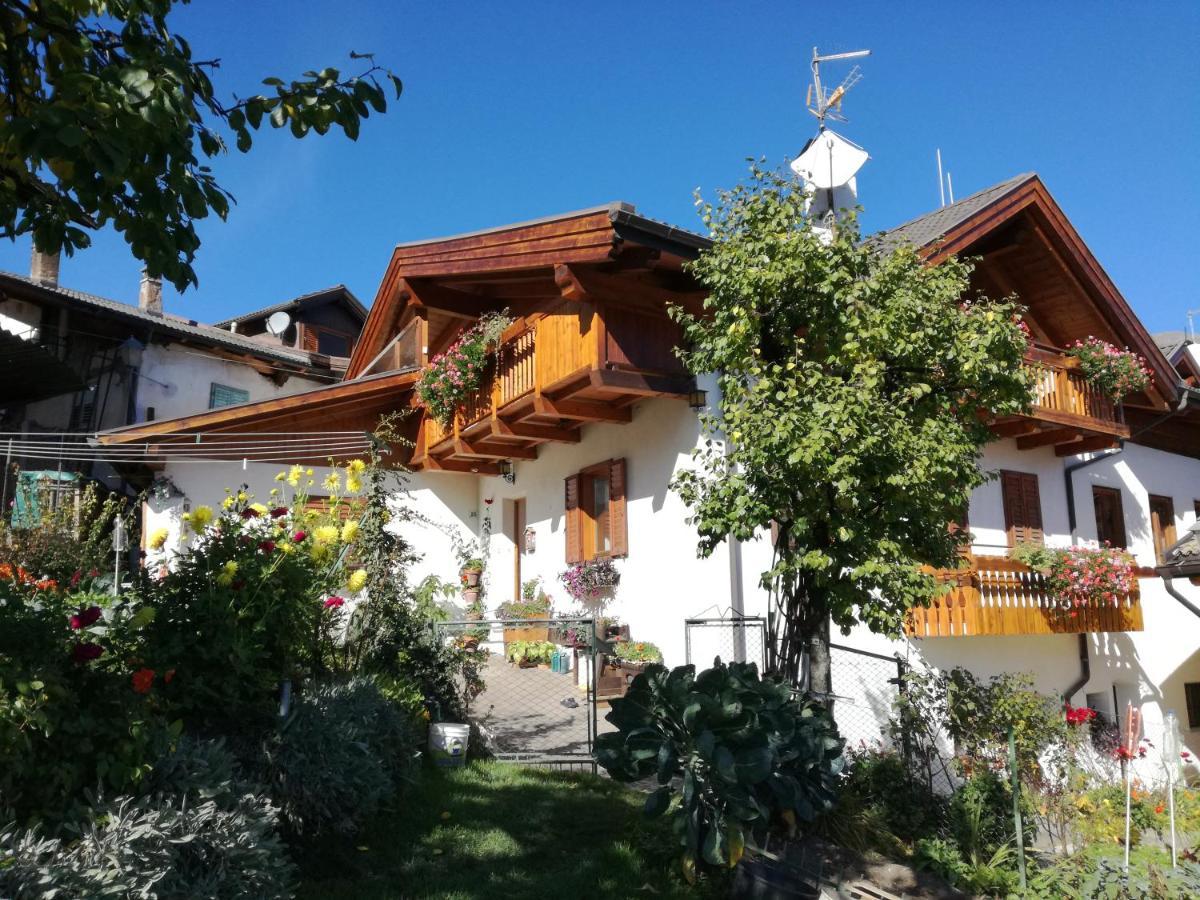 La Cesura Bed & Breakfast Carano  Luaran gambar